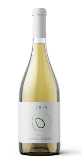 pecorino terre d'abruzzo feudo antico
