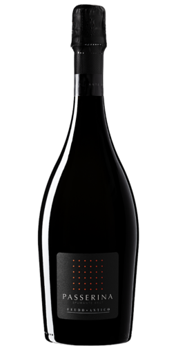 Spumante Brut Passerina Feudo Antico